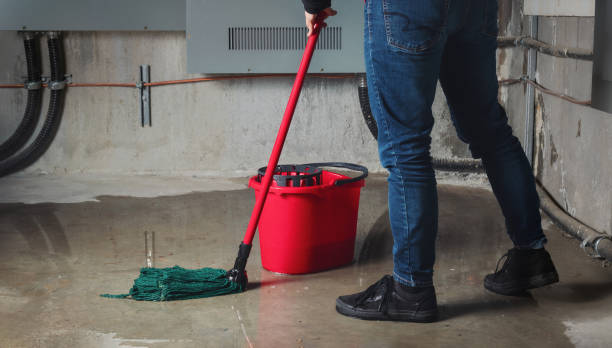 Best Basement water damage restoration  in Millbrook, AL