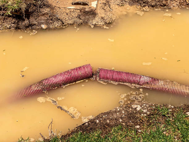 Water damage restoration experts in Millbrook, AL