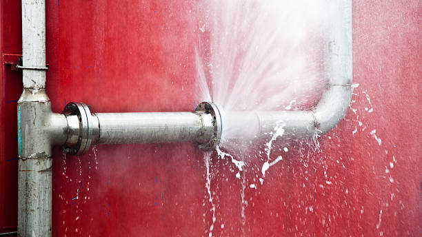 Best Sewage cleanup and water damage restoration  in Millbrook, AL